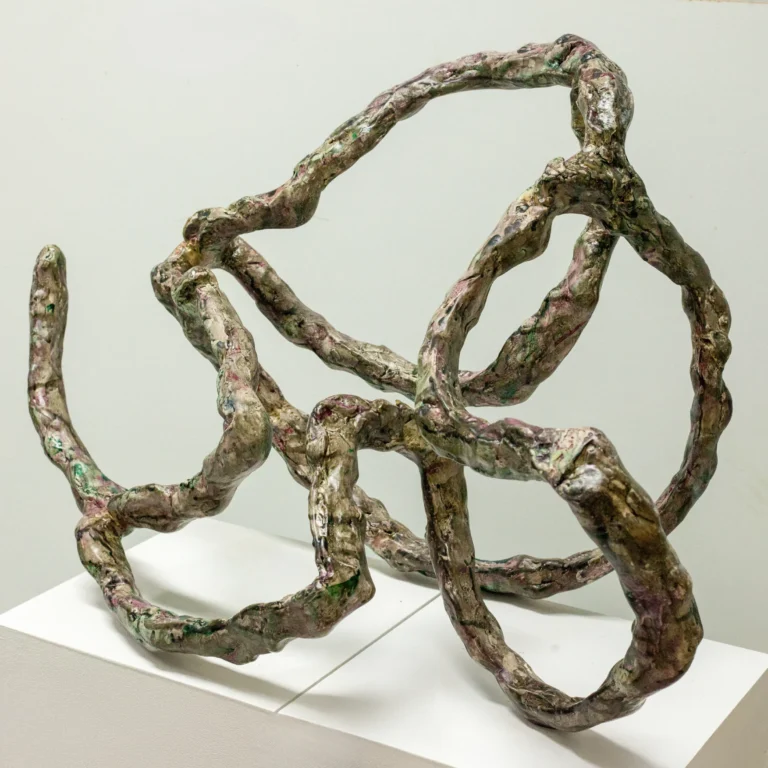 'Soma abierto', 2020