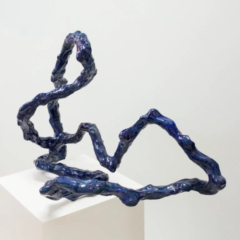 'Sign and Soma', 2024