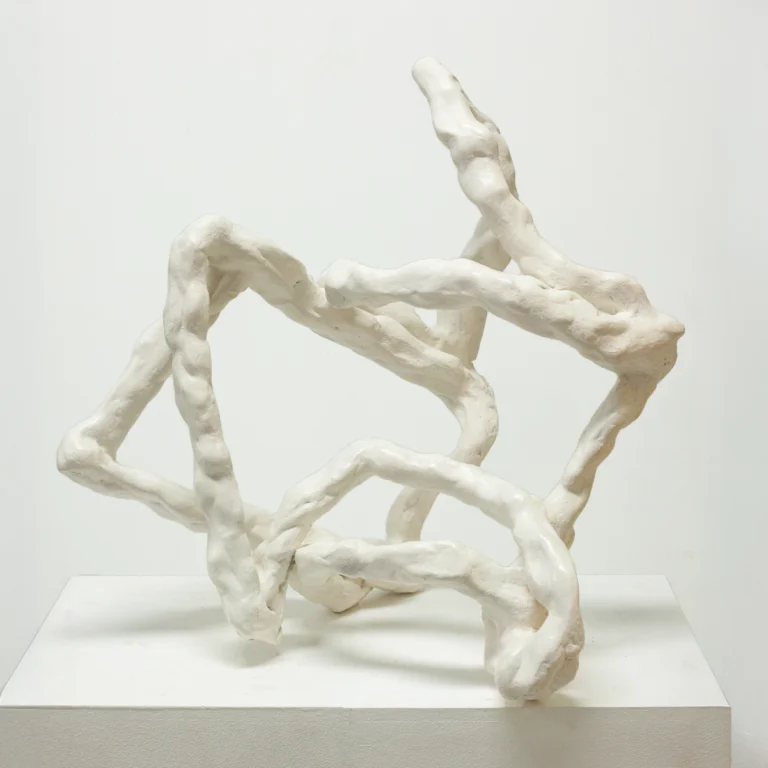 'Soma y kinesis', 2021