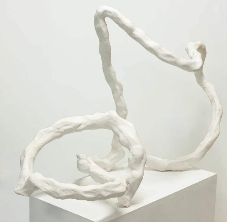 'Limited Soma'. 2022