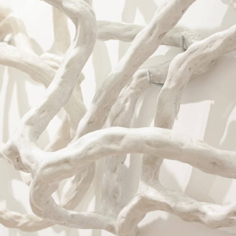 'Soma enlazado', 2025